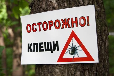 Әдемі томпақ қыздармен порно