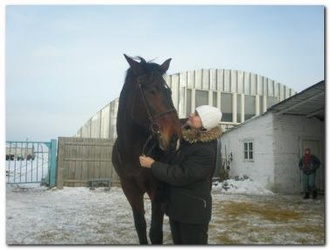 конные прогулки