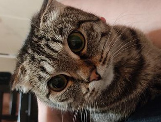 Мой месяц счастья -2024