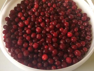 Любая свежемороженая ЯГОДА, КЕДРОВЫЙ ОРЕХ, ГРИБЫ на Ваш вкус. Доставка на дом!