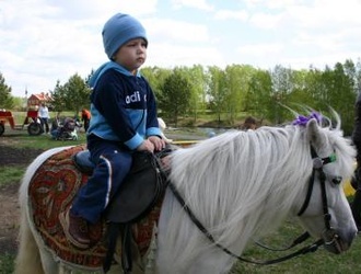 Назарка на пони