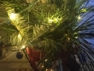 Мой месяц счастья - 2023