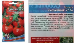 Сахарные уста томаты описание сорта фото