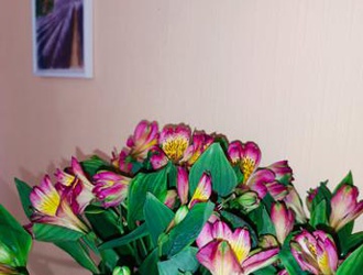 "Мой месяц счастья" -2024