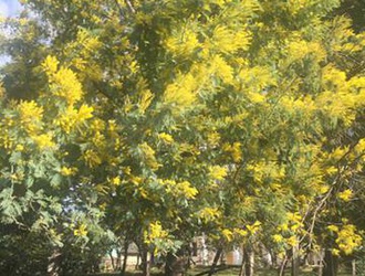 "Мой месяц счастья" - 2019 