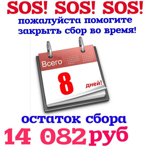 Пользуясь Случаем - сбор средств на благотворительные проекты